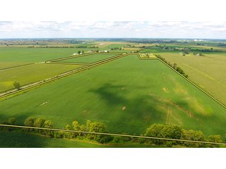 Property photo 1 - LAND AUCTION - 84+/- ACRES IN RUSH COUNTY, INDIANA
